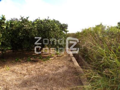 Finca zum verkauf in Carcaixent - FIN_1466