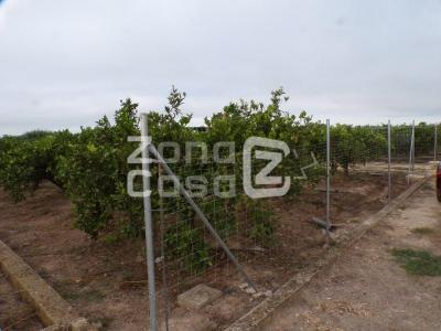 Finca zum verkauf in Albalat de la Ribera - FIN_1468