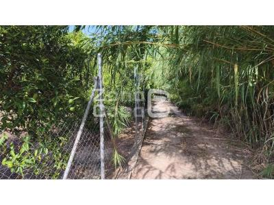 Country property for sale in Benicull de Xúquer - FIN_1469 Country property for sale in Benicull de Xúquer - FIN_1469
