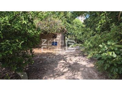 Country property for sale in Benicull de Xúquer - FIN_1469 Country property for sale in Benicull de Xúquer - FIN_1469