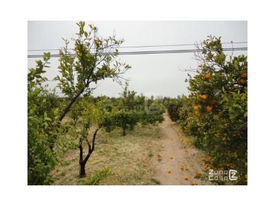 Country property for sale in Benicull de Xúquer - 00606 Country property for sale in Benicull de Xúquer - 00606