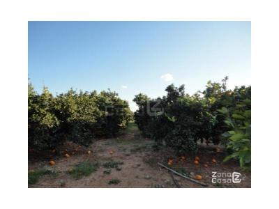 Finca zum verkauf in Alfarp - FIN_1188