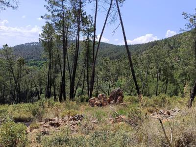 Country property for sale in Monesterio - 00652