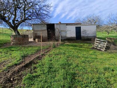 Country property for sale in Monesterio - 00701