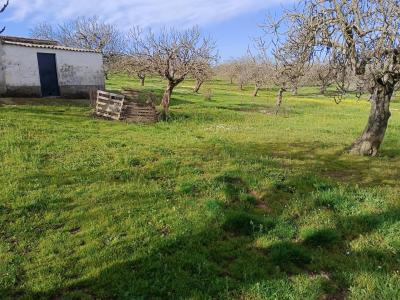 Country property for sale in Monesterio - 00701