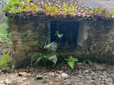 Finca zum verkauf in Bermeo - 14247-BRZ Finca zum verkauf in Bermeo - 14247-BRZ