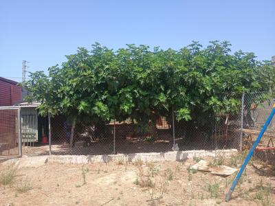 出售小屋El Rompido - 14280-MLZ