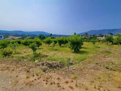 Вилла на продажу в Las Lagunas - R4359697 Вилла на продажу в Las Lagunas - R4359697