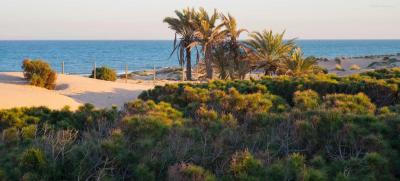 Apartment for sale in Urbanizaciones - MS40834