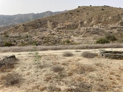 Finca en venta en La Pinilla, Fuente Álamo de Murcia - MS41115 Finca en venta en La Pinilla, Fuente Álamo de Murcia - MS41115