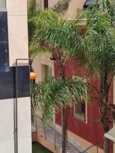 Appartamento in vendita a Orihuela Pueblo - MS39630 Appartamento in vendita a Orihuela Pueblo - MS39630