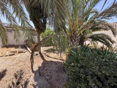 Bâtiment à vendre à Desamparados-Hurchillo-Torremendo, Orihuela - MS42350 Bâtiment à vendre à Desamparados-Hurchillo-Torremendo, Orihuela - MS42350