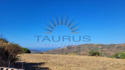 Villa for sale in Cómpeta - C3952