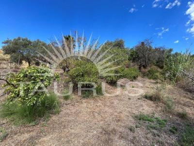 Villa for sale in Benajarafe - MS466