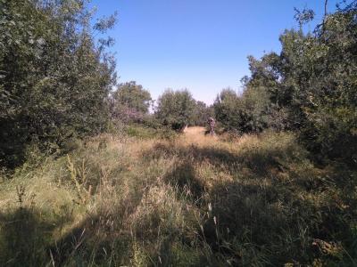Terrain-à-bâtir à vendre à Ortigosa del Monte - AI-12763 Terrain-à-bâtir à vendre à Ortigosa del Monte - AI-12763