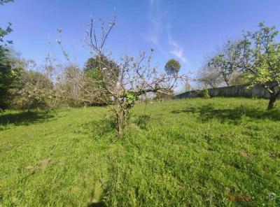 Plot for sale in Siero - 13374
