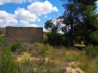 Domaine à vendre à Maella - 1077 Domaine à vendre à Maella - 1077