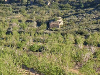 Domaine à vendre à Maella - 1077 Domaine à vendre à Maella - 1077