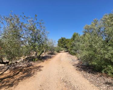 Country property for sale in L'Ampolla - 39192