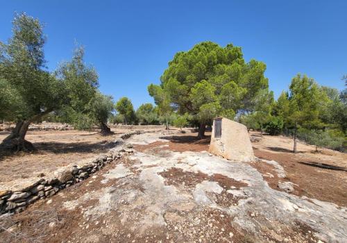 Finca en venta en L'Ametlla de Mar - 39215 Finca en venta en L'Ametlla de Mar - 39215