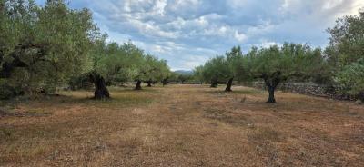 Country property for sale in L'Ametlla de Mar - 39291