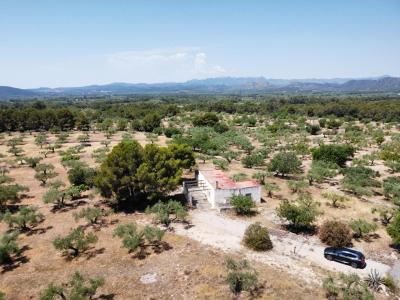 Country property for sale in L'Ametlla de Mar - 39295