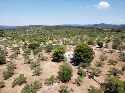 Country property for sale in L'Ametlla de Mar - 39295