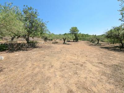 Country property for sale in L'Ametlla de Mar - 39298