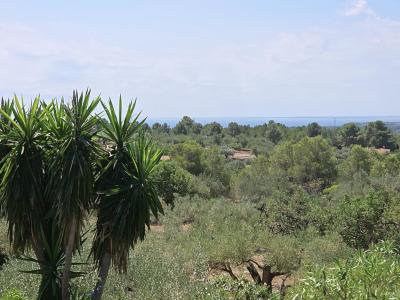 Country property for sale in L'Ametlla de Mar - 39298