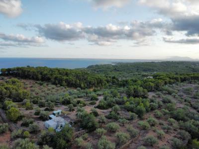 Country property for sale in L'Ametlla de Mar - 39304