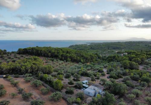 Finca en venta en L'Ametlla de Mar - 39304 Finca en venta en L'Ametlla de Mar - 39304