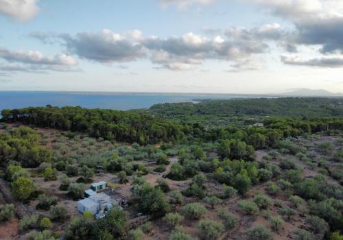Finca en venta en L'Ametlla de Mar - 39304 Finca en venta en L'Ametlla de Mar - 39304
