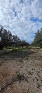 Country property for sale in L'Ampolla - 39320