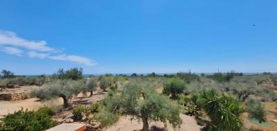 Country property for sale in L'Ampolla - 39321