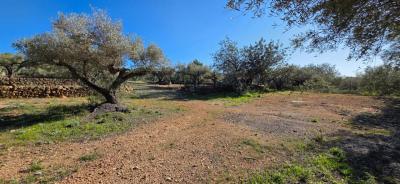 Country property for sale in L'Ametlla de Mar - 39313
