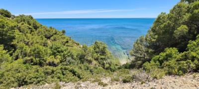 Premises for sale in L'Ametlla de Mar - 846 Premises for sale in L'Ametlla de Mar - 846