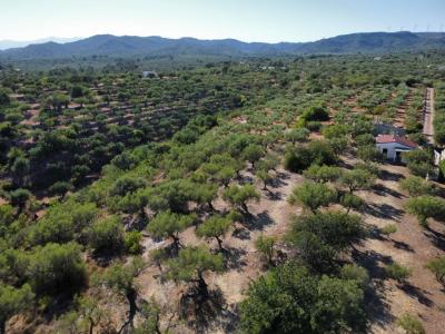 Country property for sale in L'Ampolla - 39323-1