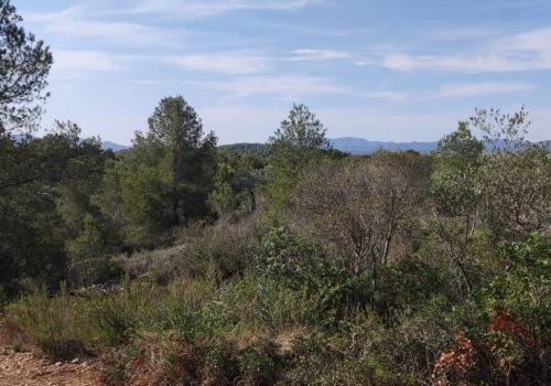 Finca en venta en L'Ametlla de Mar - 39340 Finca en venta en L'Ametlla de Mar - 39340