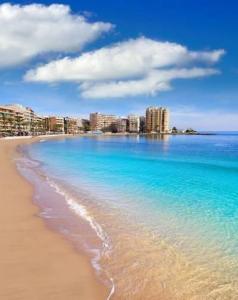 Appartement zum verkauf in Playa del Cura, Torrevieja - AP1-160