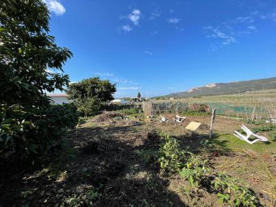 Country property for sale in Bolonia-El Lentiscal, Tarifa - CA-TA-061124 Country property for sale in Bolonia-El Lentiscal, Tarifa - CA-TA-061124