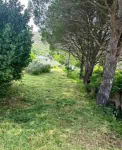 Plot for sale in El Bujeo-El Cuartón, Tarifa - CA-TA-280624 Plot for sale in El Bujeo-El Cuartón, Tarifa - CA-TA-280624