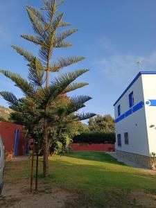 Tarifa منزل للبيع - CA-TA-281022