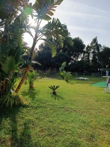 Tarifa منزل للبيع - CA-TA-281022