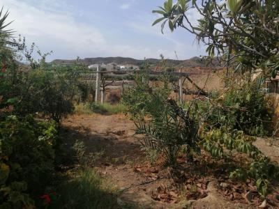 House for sale in Antas - V-1267- CORTIJO LA HUERTA ANTAS-DRV