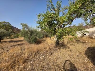 Дом на продажу в Бедар - V-1300-CORTIJO EN BARRIADA DE LOS PINOS Дом на продажу в Бедар - V-1300-CORTIJO EN BARRIADA DE LOS PINOS