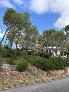 Parcelle à vendre à Mas Milà, Olivella - PR-00456 Parcelle à vendre à Mas Milà, Olivella - PR-00456