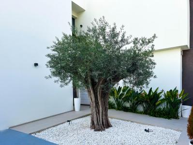 House to rent in La Nucia - 6269A House to rent in La Nucia - 6269A
