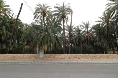 Tomt till salu i Orihuela Pueblo - AA-3202 Tomt till salu i Orihuela Pueblo - AA-3202