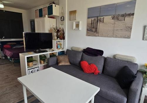 Studio for sale in Gaspar Perrelló, Torrevieja - 1397