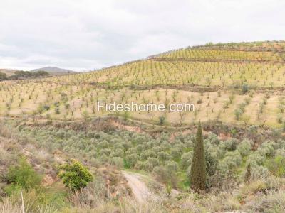 House for sale in Villamena - 108230121
